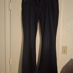 Hudson Jeans Midnight Flare